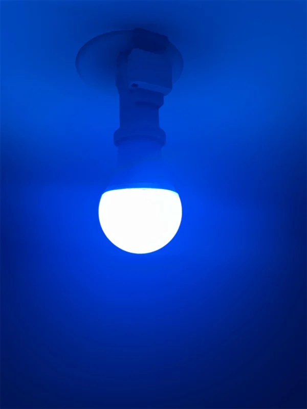 Ampoule connectée LED bleue Ampoule intelligente lumière bleue Lampe connectée couleur bleue